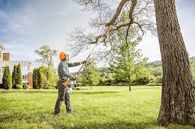 Seasonal Cleanup (Spring/Fall) in Colorado City, CO